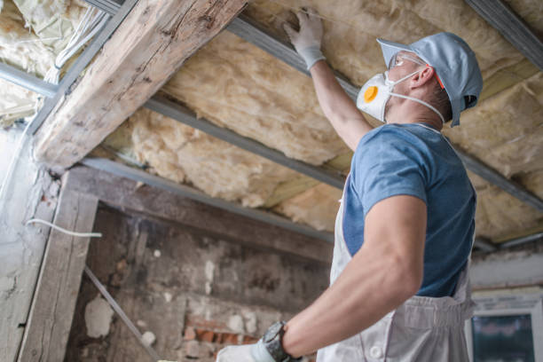 Best DIY Insulation Kits and Guidance in Rowland, NC