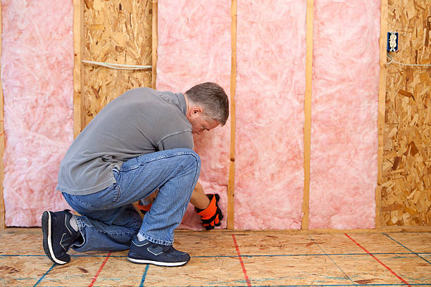 Best Specialized Insulation Services in Rowland, NC
