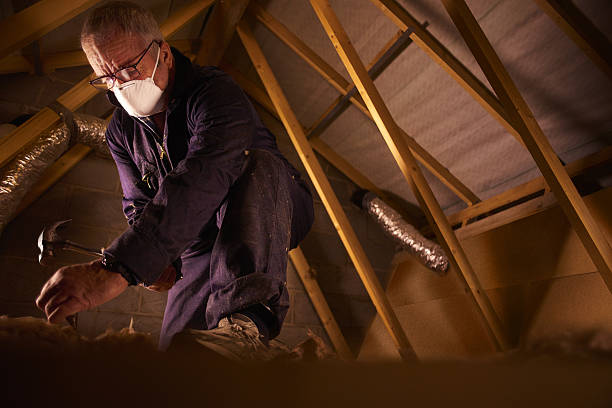 Best Geographic-Specific Insulation Services in Rowland, NC